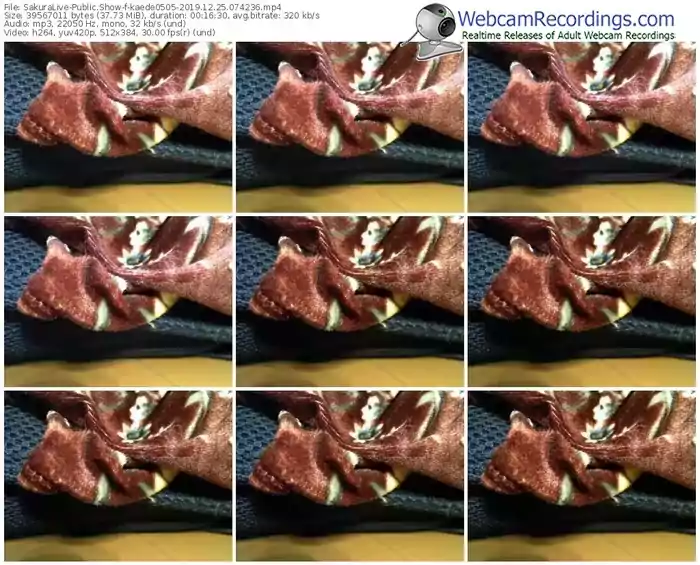 sakuralivejp-kaede0505-webcam-show-12_25_2019-07_42_36