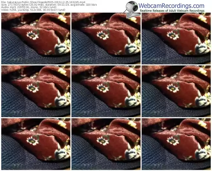 sakuralivejp-kaede0505-webcam-show-12_25_2019-16_32_45