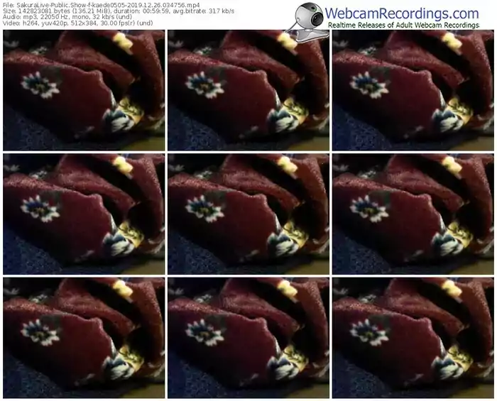 sakuralivejp-kaede0505-webcam-show-12_26_2019-03_47_56