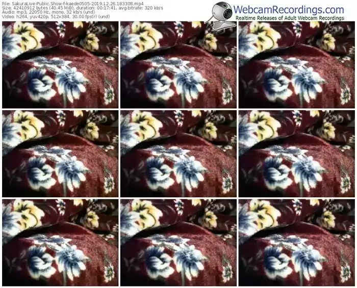sakuralivejp-kaede0505-webcam-show-12_26_2019-18_33_08