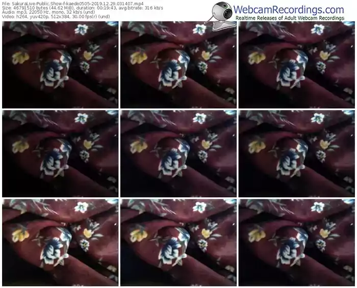 sakuralivejp-kaede0505-webcam-show-12_29_2019-03_14_07