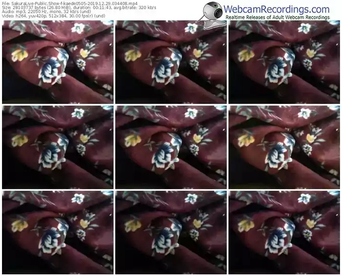 sakuralivejp-kaede0505-webcam-show-12_29_2019-03_44_08