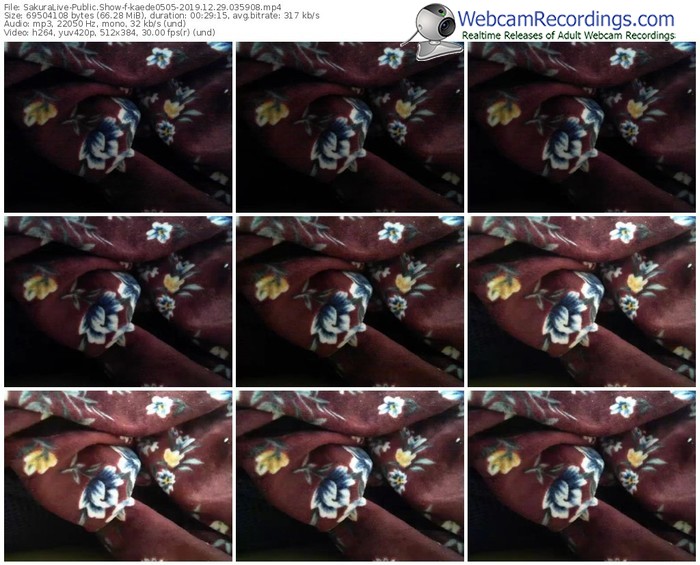 sakuralivejp-kaede0505-webcam-show-12_29_2019-03_59_08