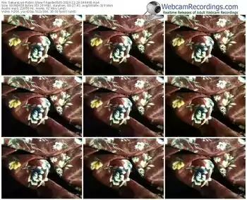 sakuralivejp-kaede0505-webcam-show-12_29_2019-04_44_09