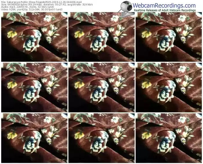 sakuralivejp-kaede0505-webcam-show-12_29_2019-04_44_09