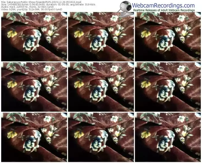 sakuralivejp-kaede0505-webcam-show-12_29_2019-05_34_10