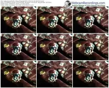 sakuralivejp-kaede0505-webcam-show-12_29_2019-06_34_10