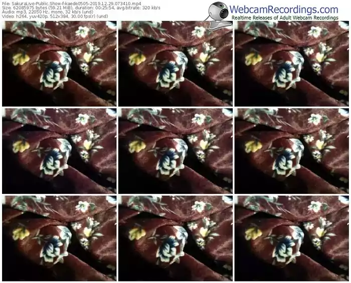 sakuralivejp-kaede0505-webcam-show-12_29_2019-07_34_10