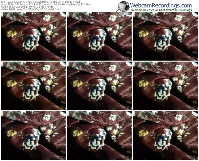 sakuralivejp-kaede0505-webcam-show-12_29_2019-08_14_12