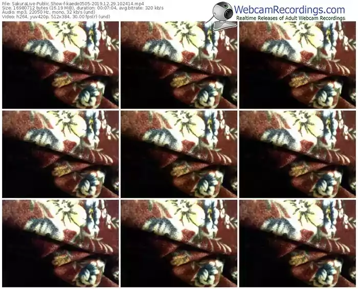sakuralivejp-kaede0505-webcam-show-12_29_2019-10_24_14