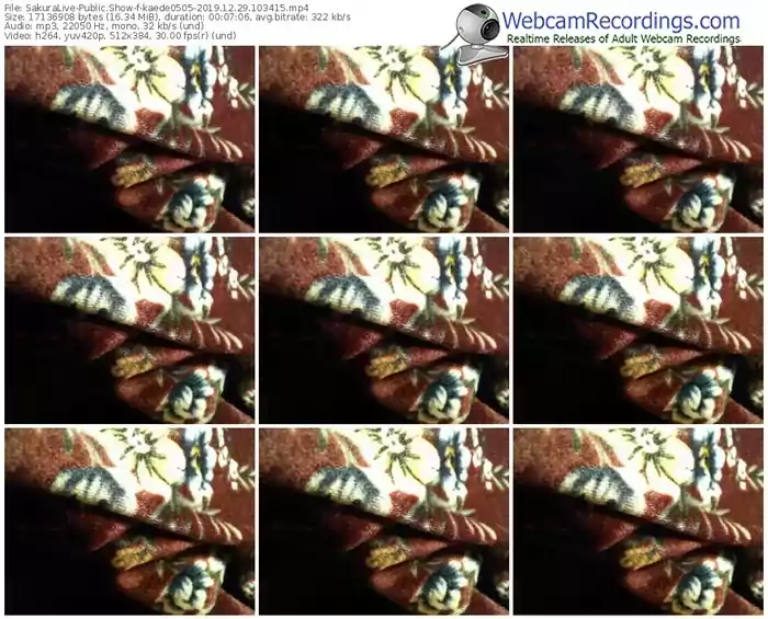 sakuralivejp-kaede0505-webcam-show-12_29_2019-10_34_15