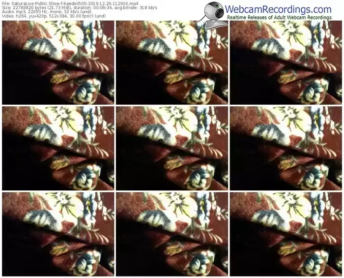 sakuralivejp-kaede0505-webcam-show-12_29_2019-11_29_16