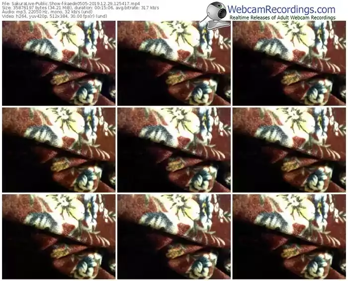 sakuralivejp-kaede0505-webcam-show-12_29_2019-12_54_17