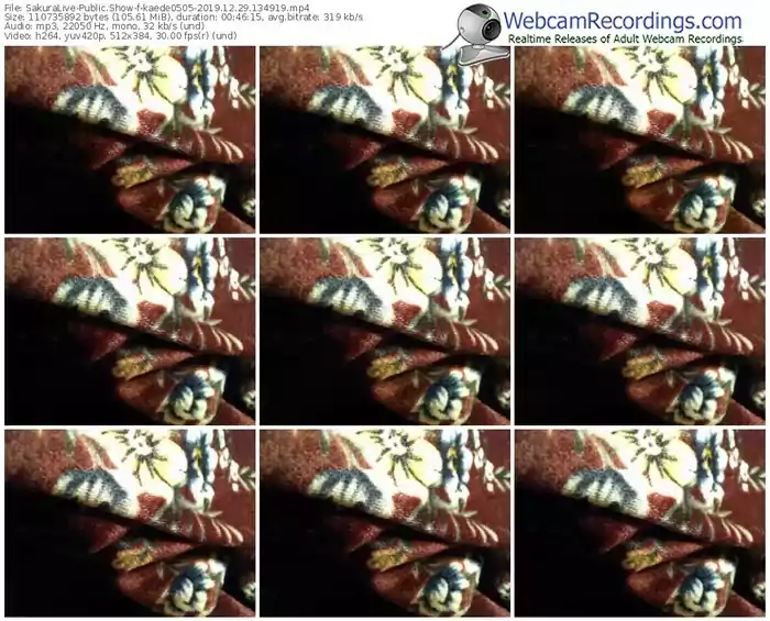 sakuralivejp-kaede0505-webcam-show-12_29_2019-13_49_19