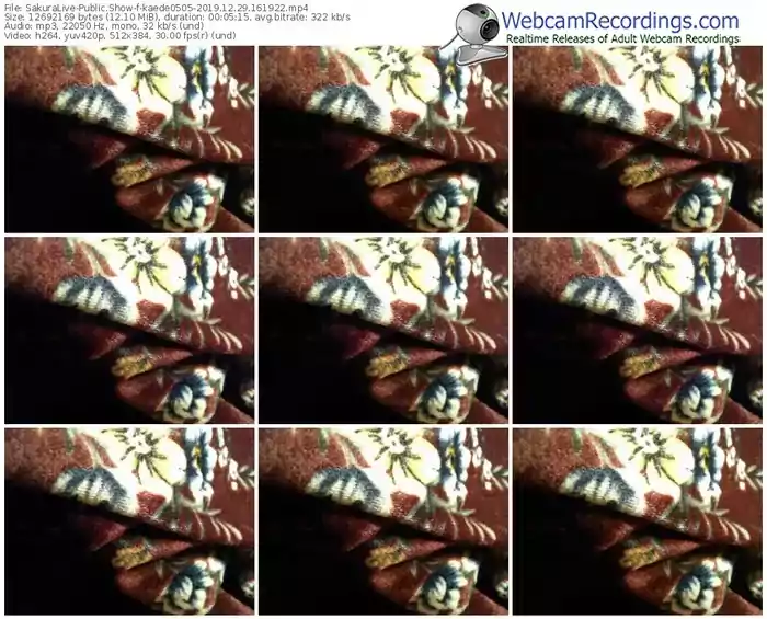 sakuralivejp-kaede0505-webcam-show-12_29_2019-16_19_22