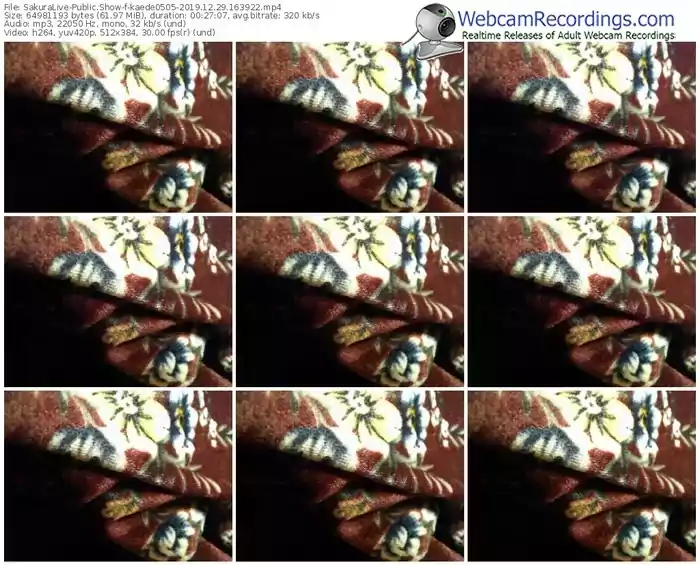 sakuralivejp-kaede0505-webcam-show-12_29_2019-16_39_22