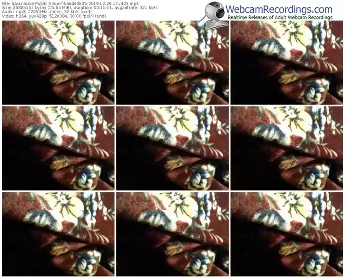 sakuralivejp-kaede0505-webcam-show-12_29_2019-17_14_23