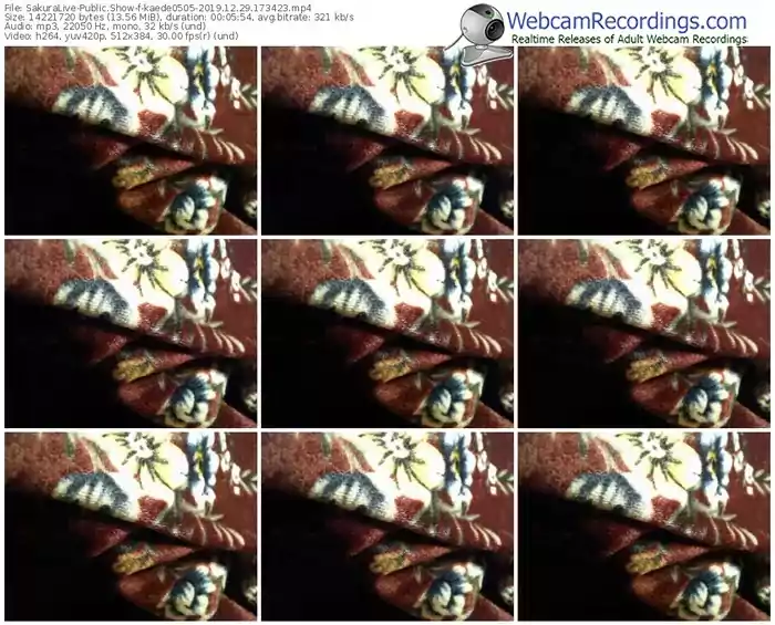 sakuralivejp-kaede0505-webcam-show-12_29_2019-17_34_23