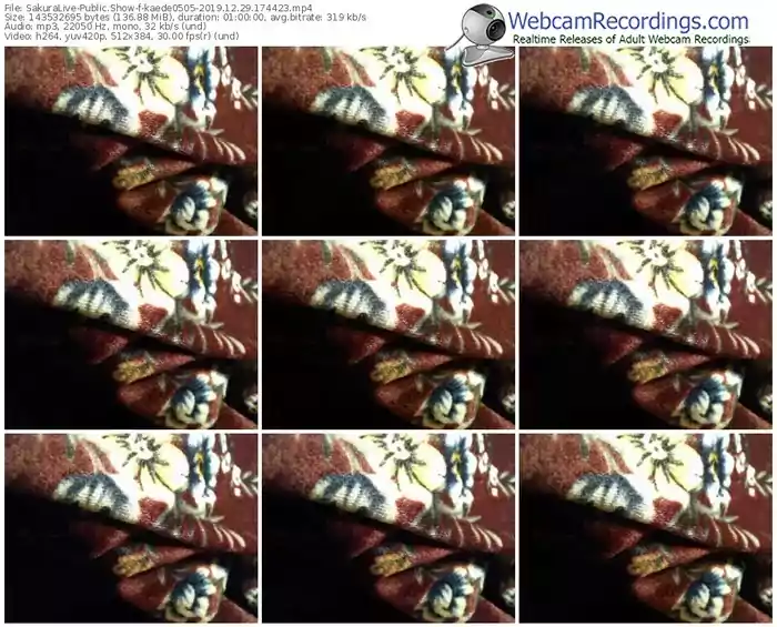 sakuralivejp-kaede0505-webcam-show-12_29_2019-17_44_23