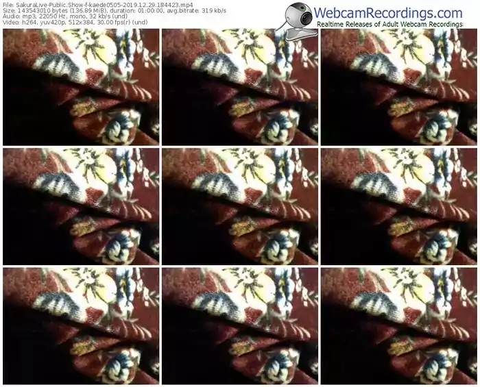 sakuralivejp-kaede0505-webcam-show-12_29_2019-18_44_23