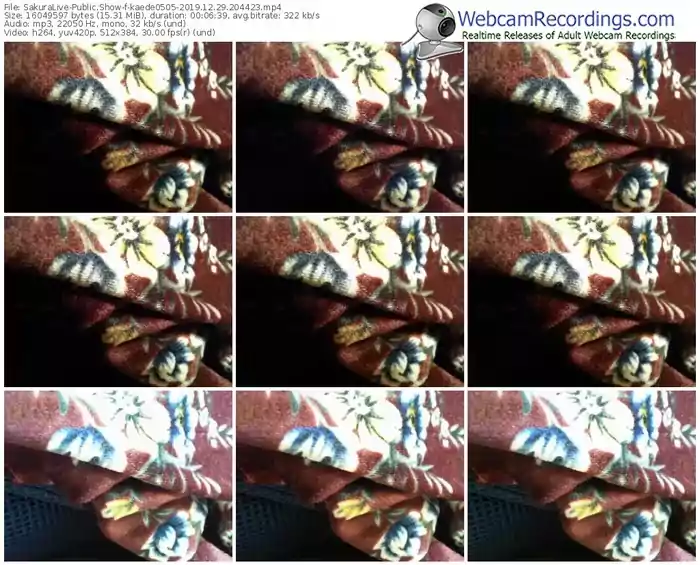 sakuralivejp-kaede0505-webcam-show-12_29_2019-20_44_23