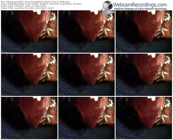 sakuralivejp-kaede0505-webcam-show-12_30_2019-17_39_48