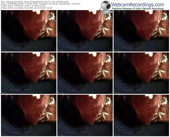 sakuralivejp-kaede0505-webcam-show-12_30_2019-19_39_48