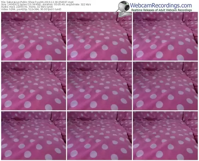 sakuralivejp-yui96-webcam-show-12_30_2019-05_49_37