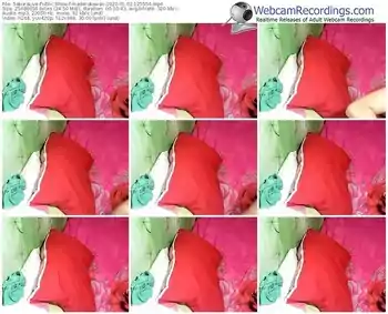 sakuralivejp-maderukawaii-webcam-show-01_02_2020-12_55_54