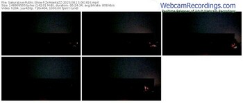 sakuralive-zxmoekazz-08-13-2023-06-16-16