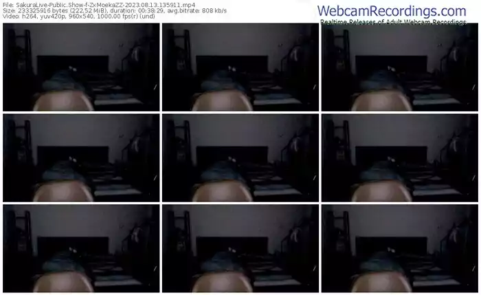 sakuralive-zxmoekazz-08-13-2023-13-59-11