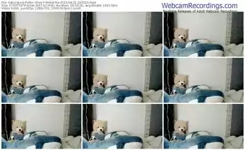 sakuralive-weserika-08-21-2023-23-30-24