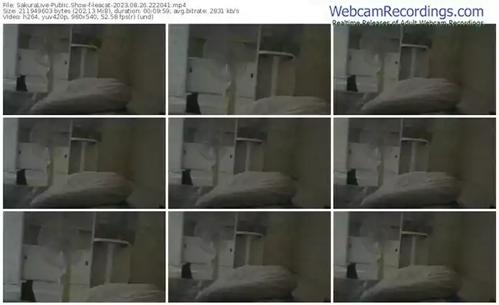 sakuralive-leacat-08-26-2023-22-20-41