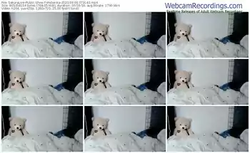 sakuralive-weserika-09-08-2023-07-31-43