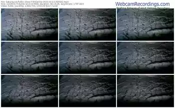 sakuralive-weserika-09-13-2023-09-55-42