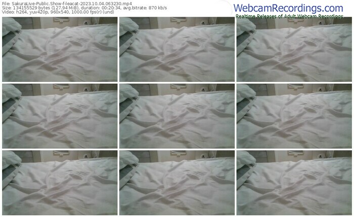 sakuralive-leacat-10-04-2023-06-32-30