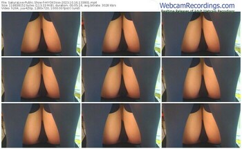 sakuralive-hiyokosss-10-16-2023-13-38-01