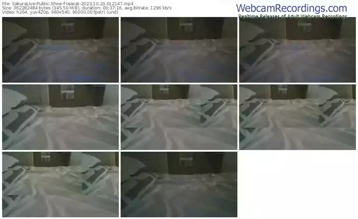 sakuralive-leacat-10-20-2023-01-21-47