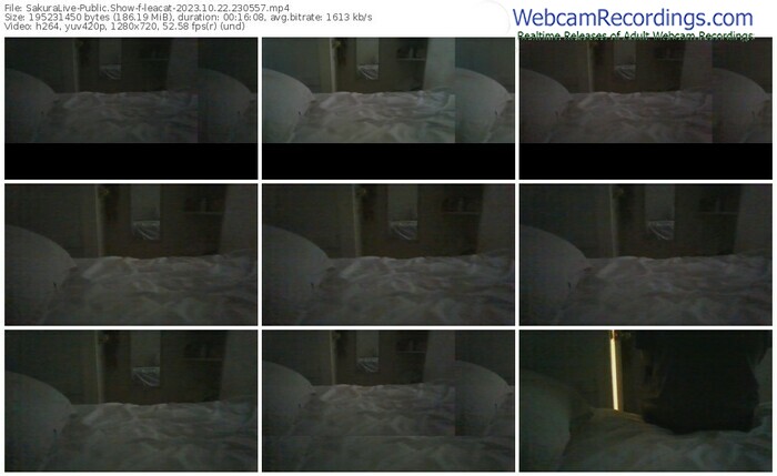 sakuralive-leacat-10-22-2023-23-05-57