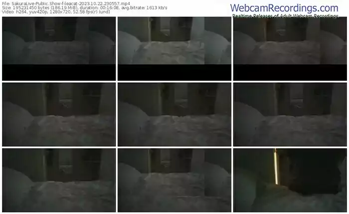 sakuralive-leacat-10-22-2023-23-05-57