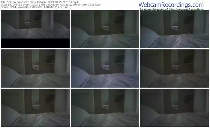 sakuralive-leacat-10-25-2023-01-01-59