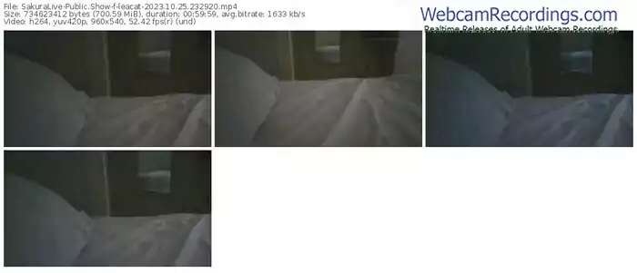 sakuralive-leacat-10-25-2023-23-29-20