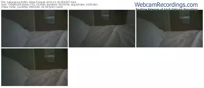 sakuralive-leacat-10-26-2023-00-42-57