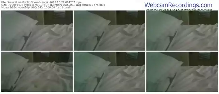 sakuralive-leacat-10-29-2023-02-42-07