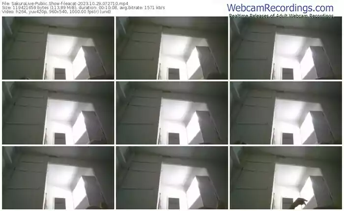 sakuralive-leacat-10-29-2023-07-27-10