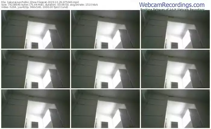 sakuralive-leacat-10-29-2023-07-50-40