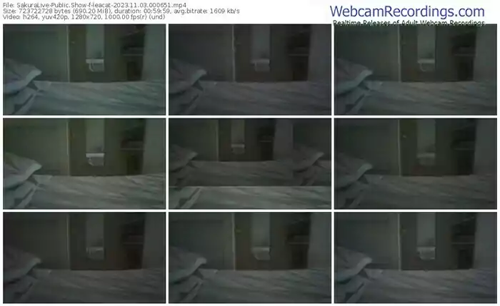 sakuralive-leacat-11-03-2023-00-06-51