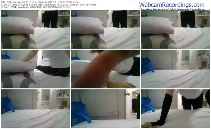 sakuralive-leacat-11-05-2023-01-23-01