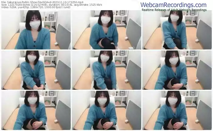 sakuralive-bxnoaxd-11-19-2023-17-32-50