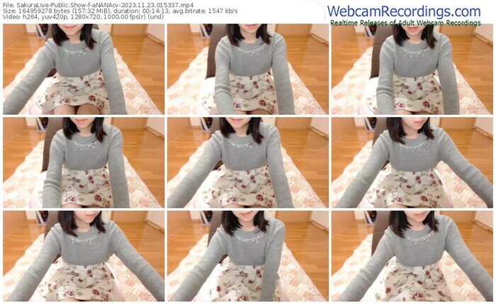 sakuralive-ananacv-11-23-2023-01-53-37